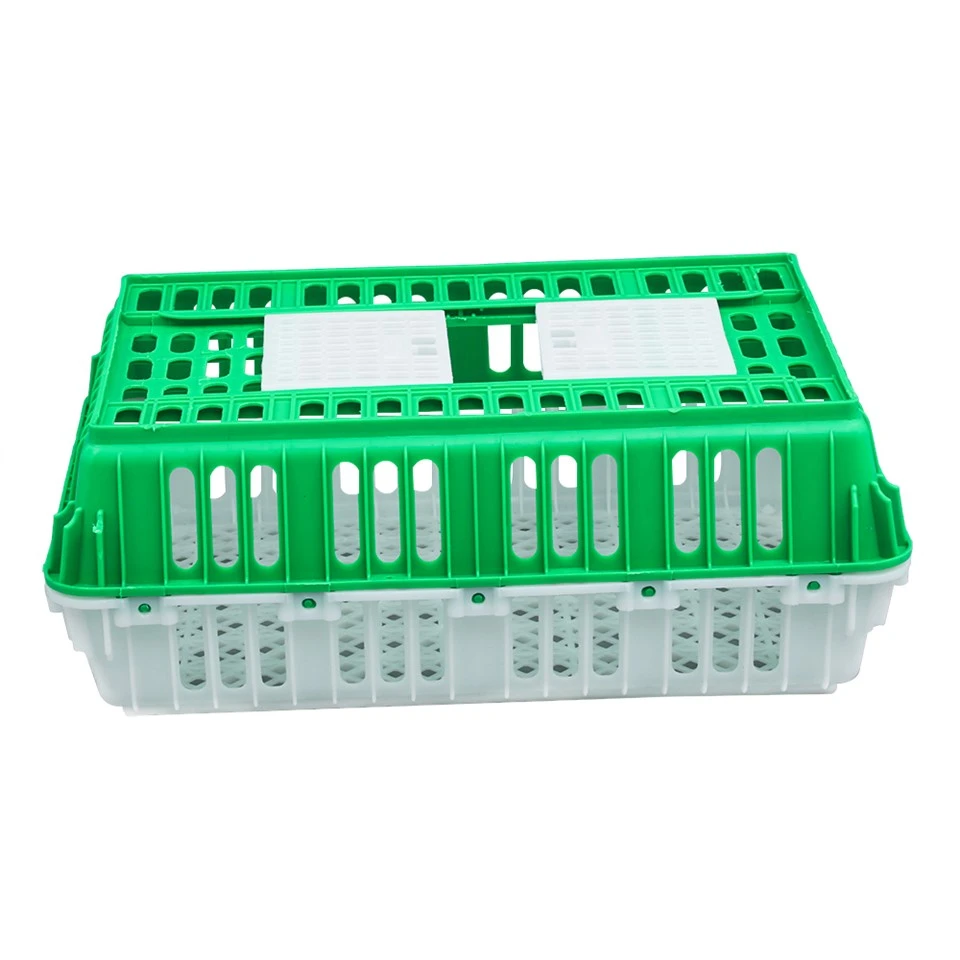 Live Bird Plastic Crate