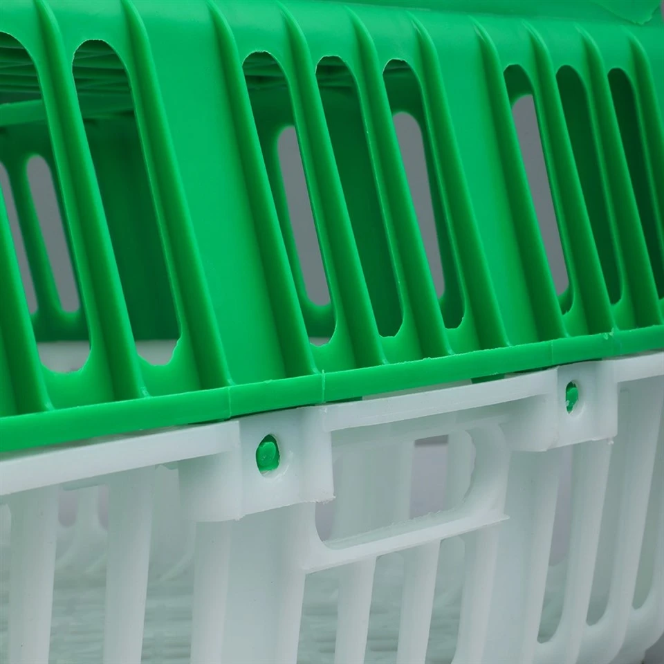 Live Bird Plastic Crate