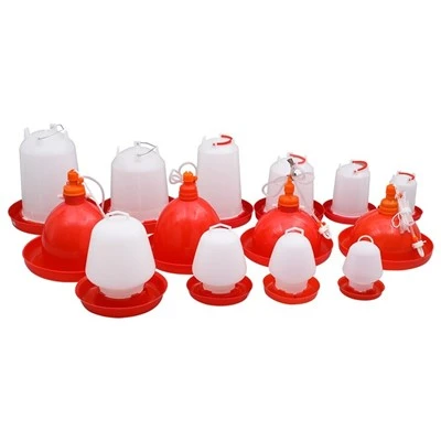 Abreuvoir pour poules